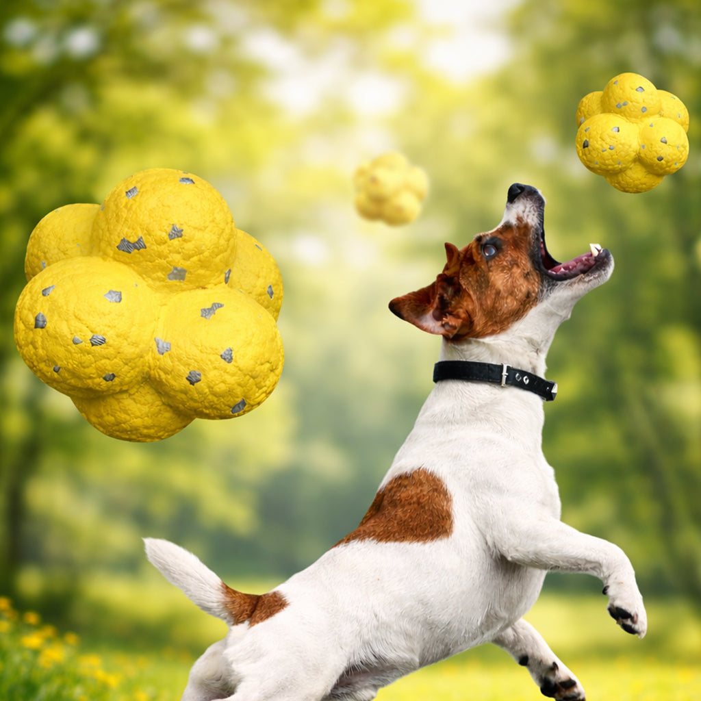 Dog playing fetch with bouncing ball