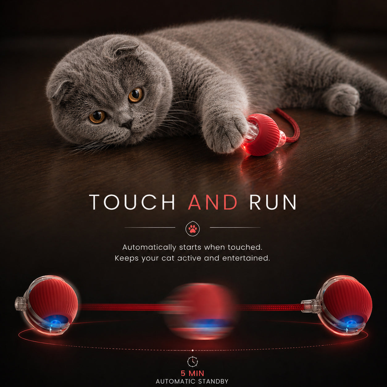 Interactive cat ball toy with moving tail