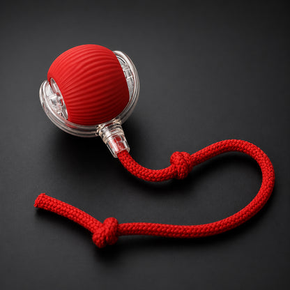 Smart interactive cat toy for indoor cats