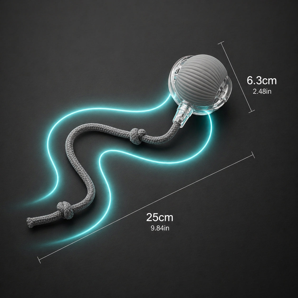 Indoor cat chasing moving tail ball toy