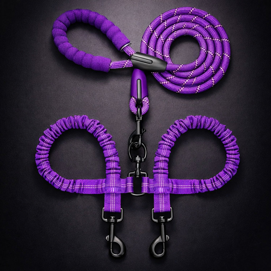 Double leash for smooth dog walking