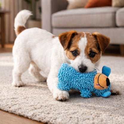 Dog chew toy with squeaky sound