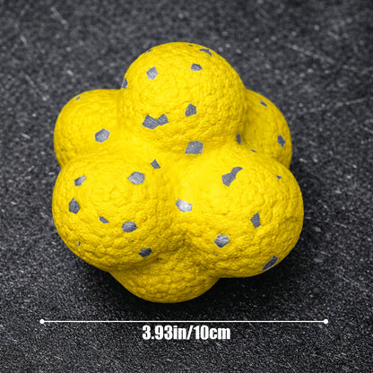 Dog chasing bouncing ball toy outdoor