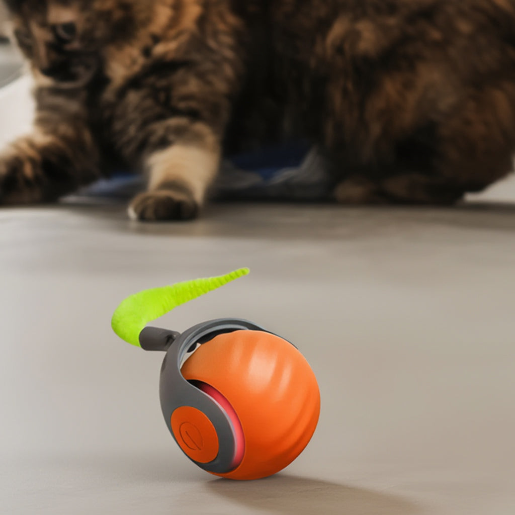 Automatic moving cat ball toy with interchangeable tail