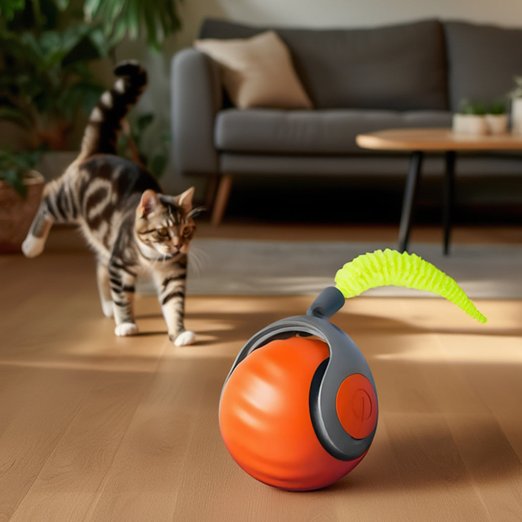 Speedy Tail 2.0 interactive cat ball toy with tail