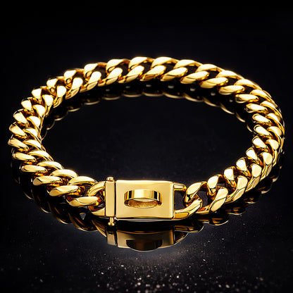 Stylish dog chain collar for strong dogs