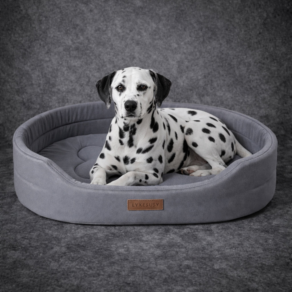 Orthopedic dog bed for joint support