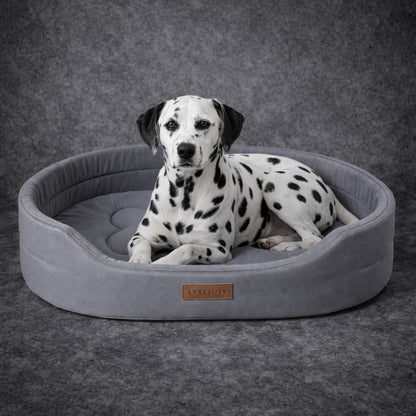 Orthopedic dog bed for joint support