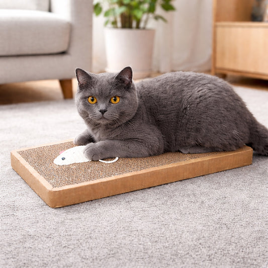 Cat scratching board for claw care and play